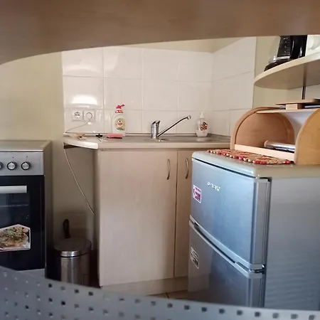 Cat Friendly Appartamento Vilnius