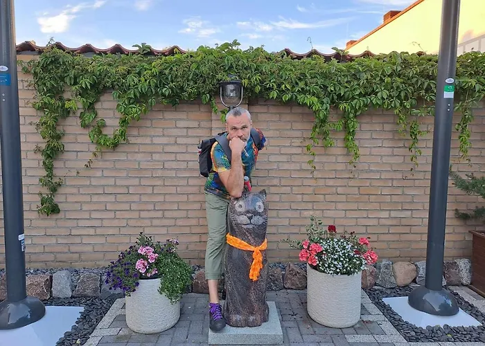 Διαμέρισμα Cat Friendly Βίλνιους