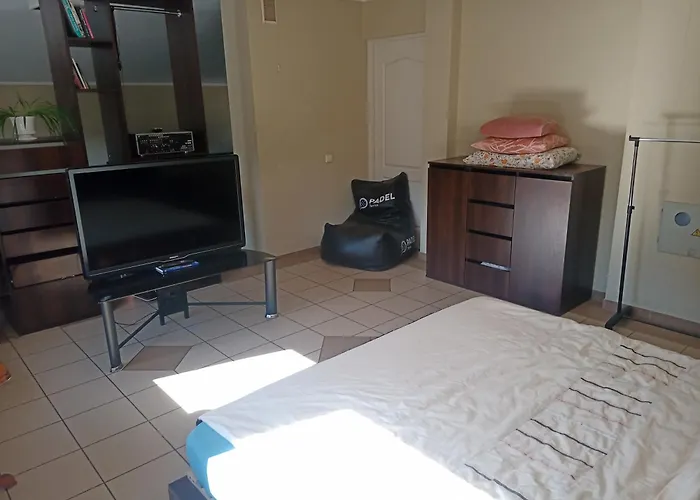 Cat Friendly Βίλνιους