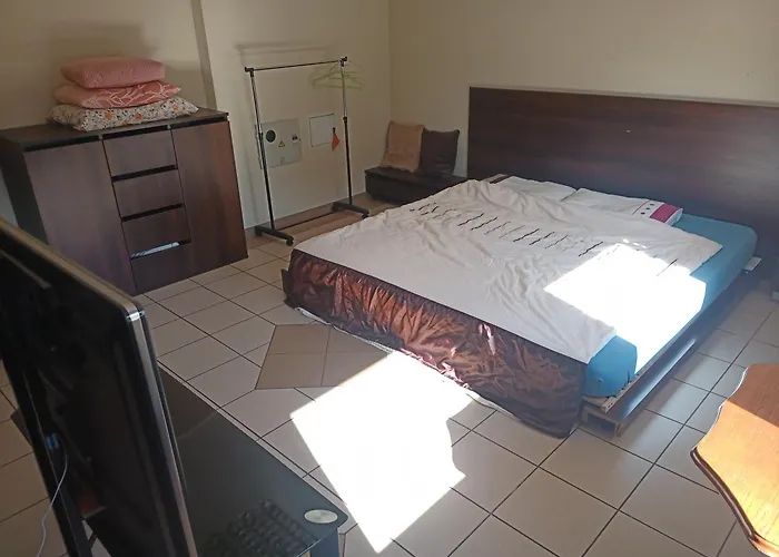 Cat Friendly 公寓 维尔纽斯