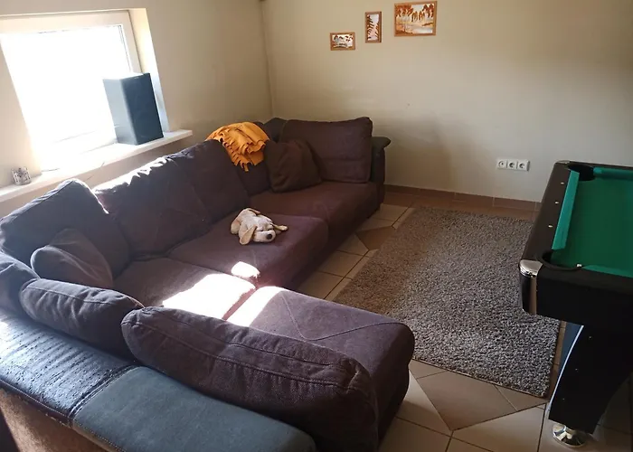 Cat Friendly Βίλνιους