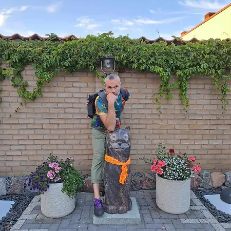 Apartment Cat Friendly Wilna